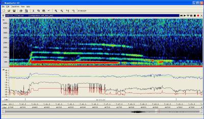 CWC/SDSU bioacoustics research