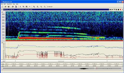 wolf calls with no wind noise