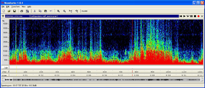 wind noise