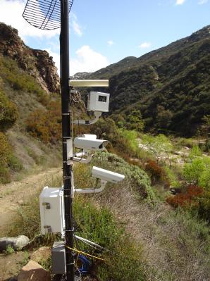 cameras deployed in Pablo's enclusure