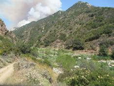 Border fire near SMER